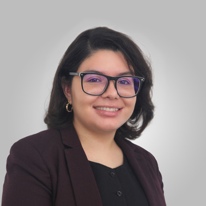 The Work Justice Team