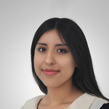 The Work Justice Team